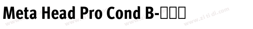Meta Head Pro Cond B字体转换